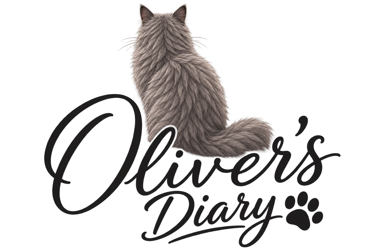 Oliver's Diary
