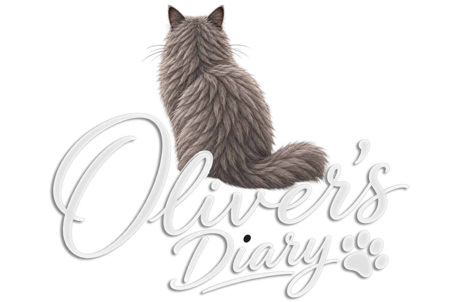 Oliver's Diary